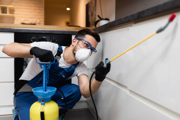 Best Rat Extermination Near Me  in Royse City, TX