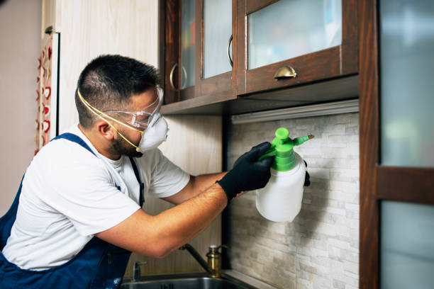 Best Best Pest Control Companies  in Royse City, TX