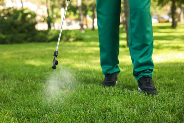 Trusted Royse City, TX Pest Control Experts