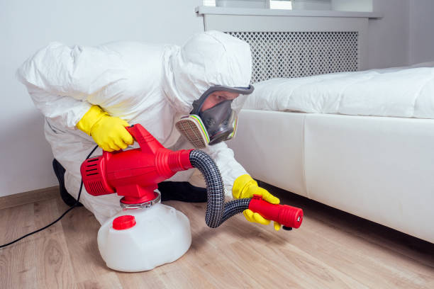 Best Termite Control Services  in Royse City, TX