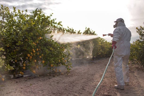 Best Emergency Pest Control  in Royse City, TX