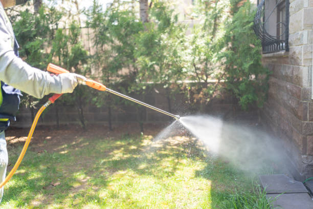 Best Pest Prevention Services  in Royse City, TX