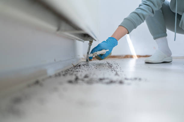 Reliable Royse City, TX Pest Control Solutions