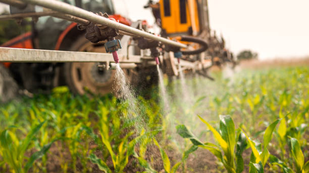 Best Commercial Pest Control Services  in Royse City, TX